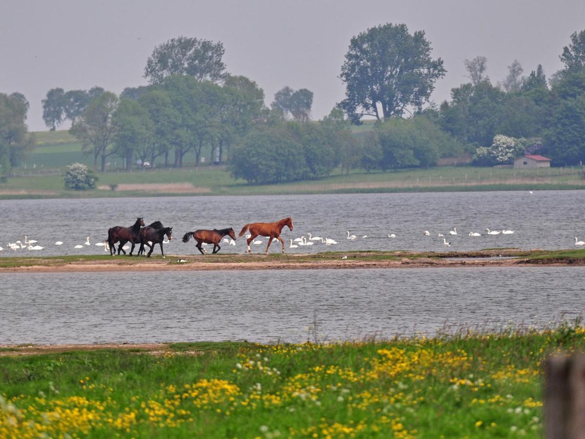 Gollwitzer Park - Insel Poel-7 By Interhome Apartment